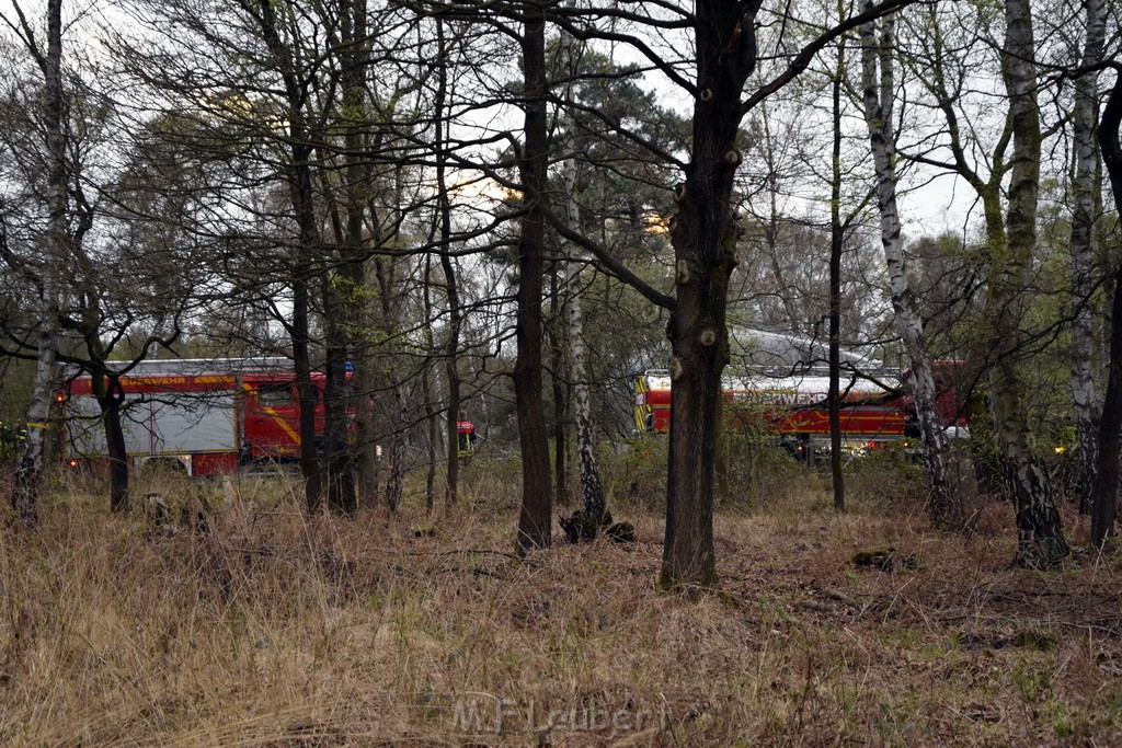 Waldbrand Wahner Heide Troisdorf Eisenweg P489.JPG - Miklos Laubert